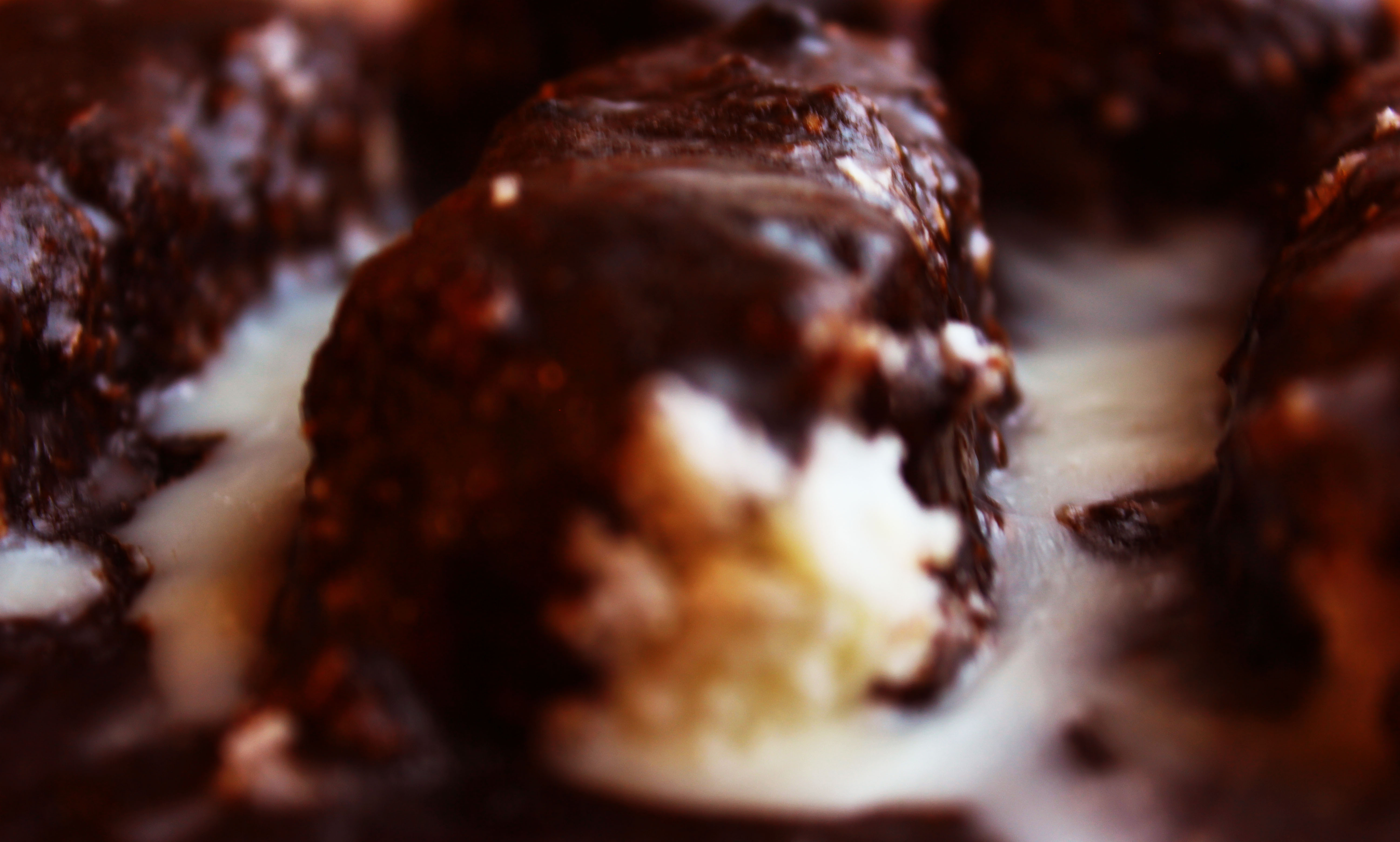 coconut chocolate bars2