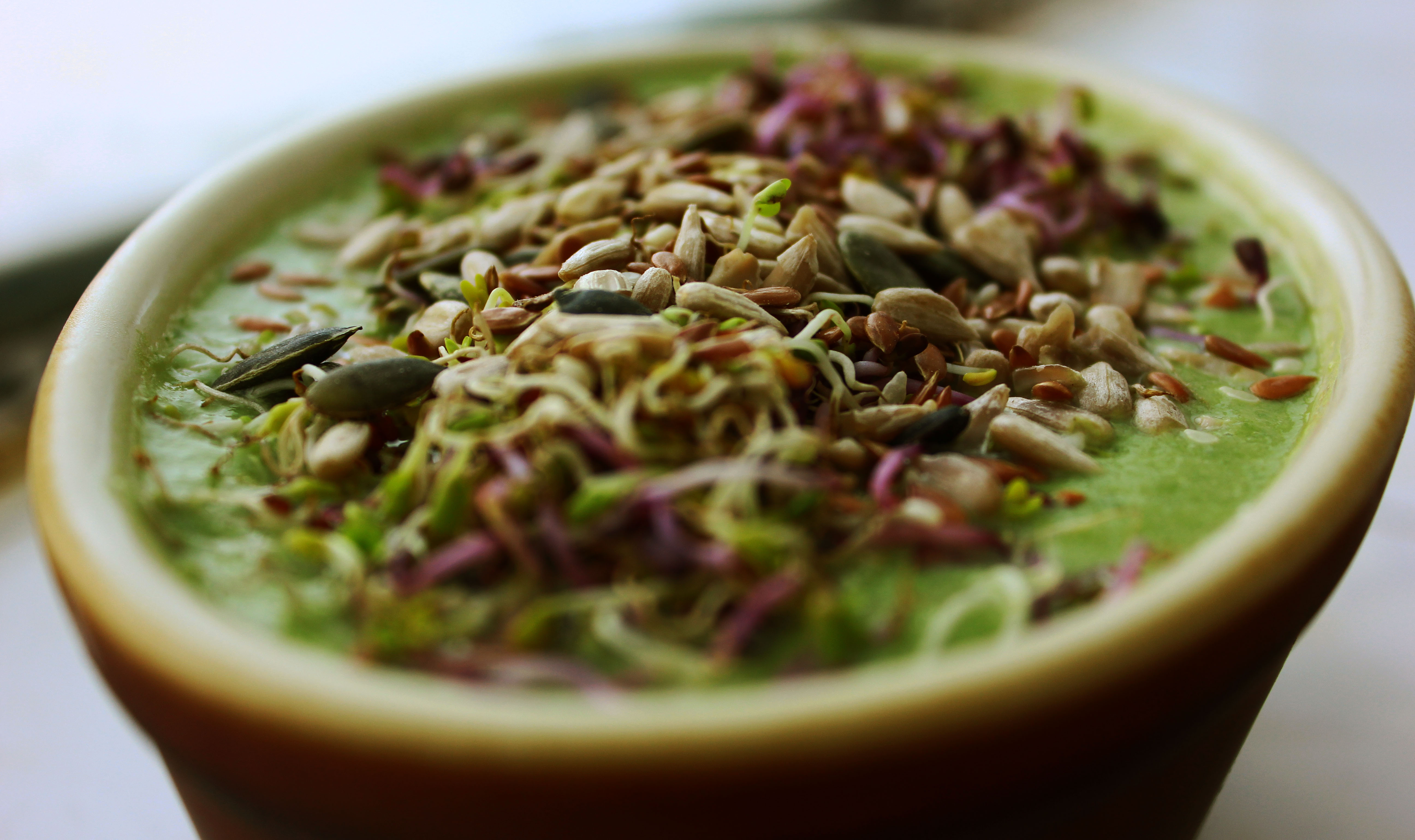 Creamy Avocado Soup1