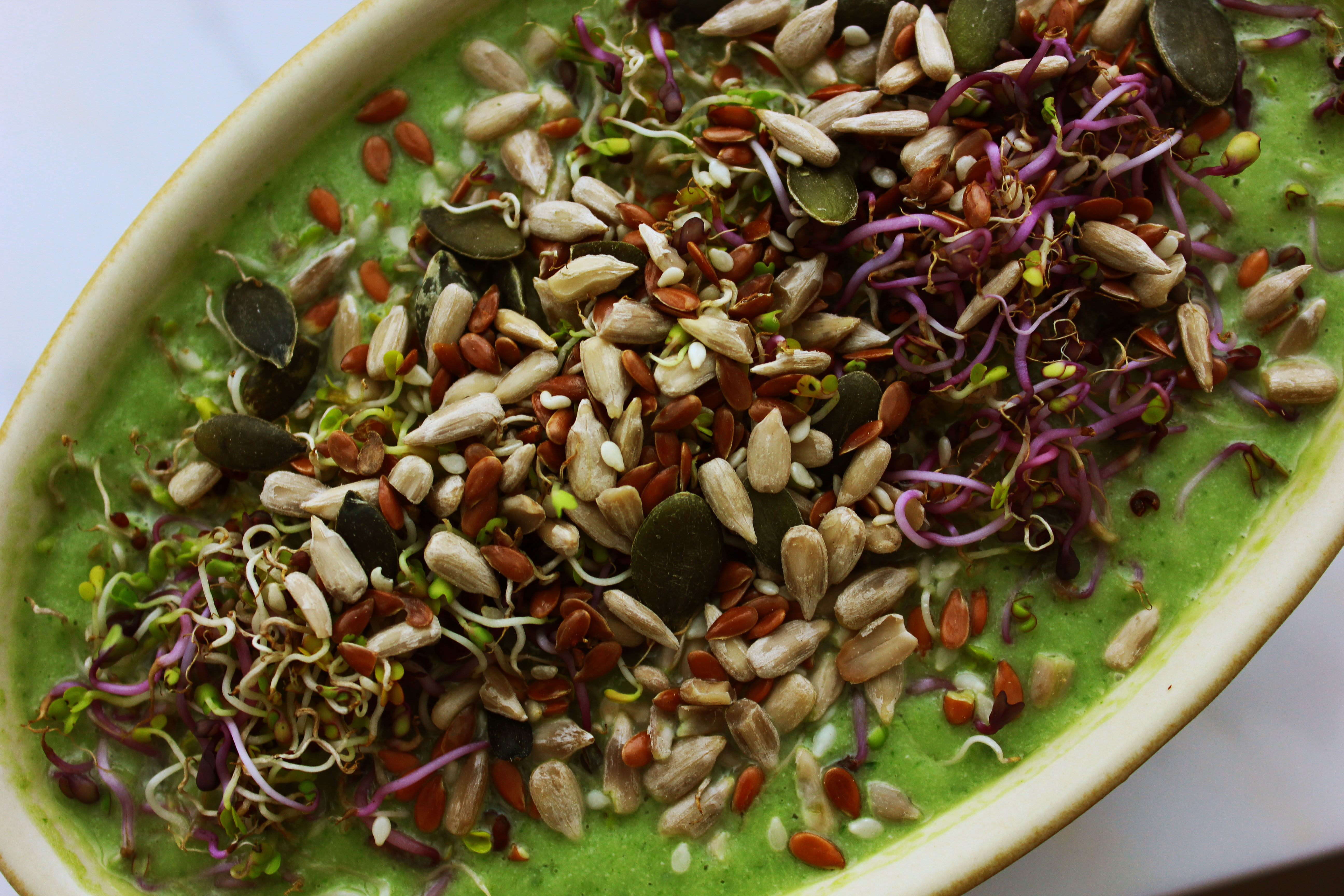 Creamy Avocado Soup2