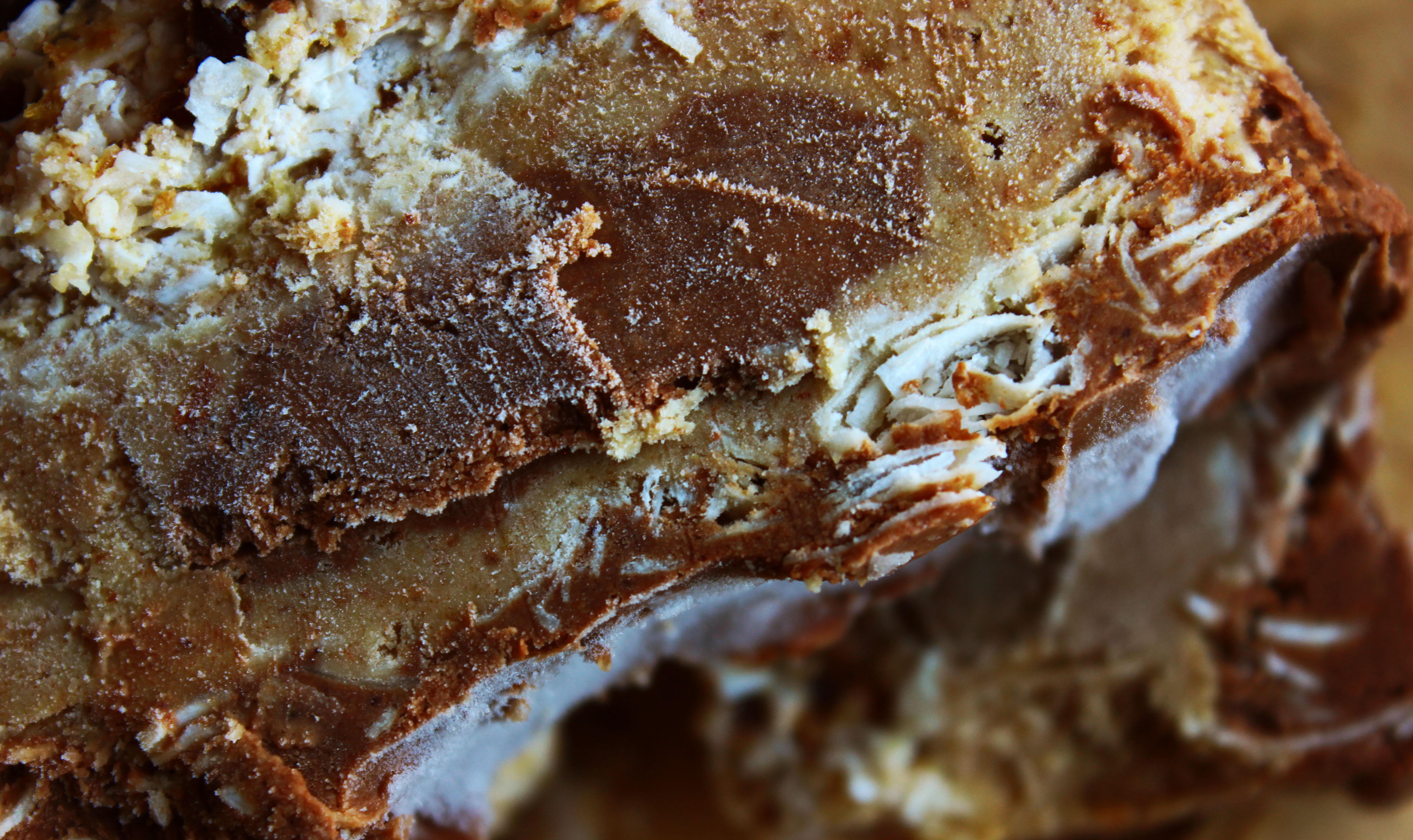 caramel coconut bars3