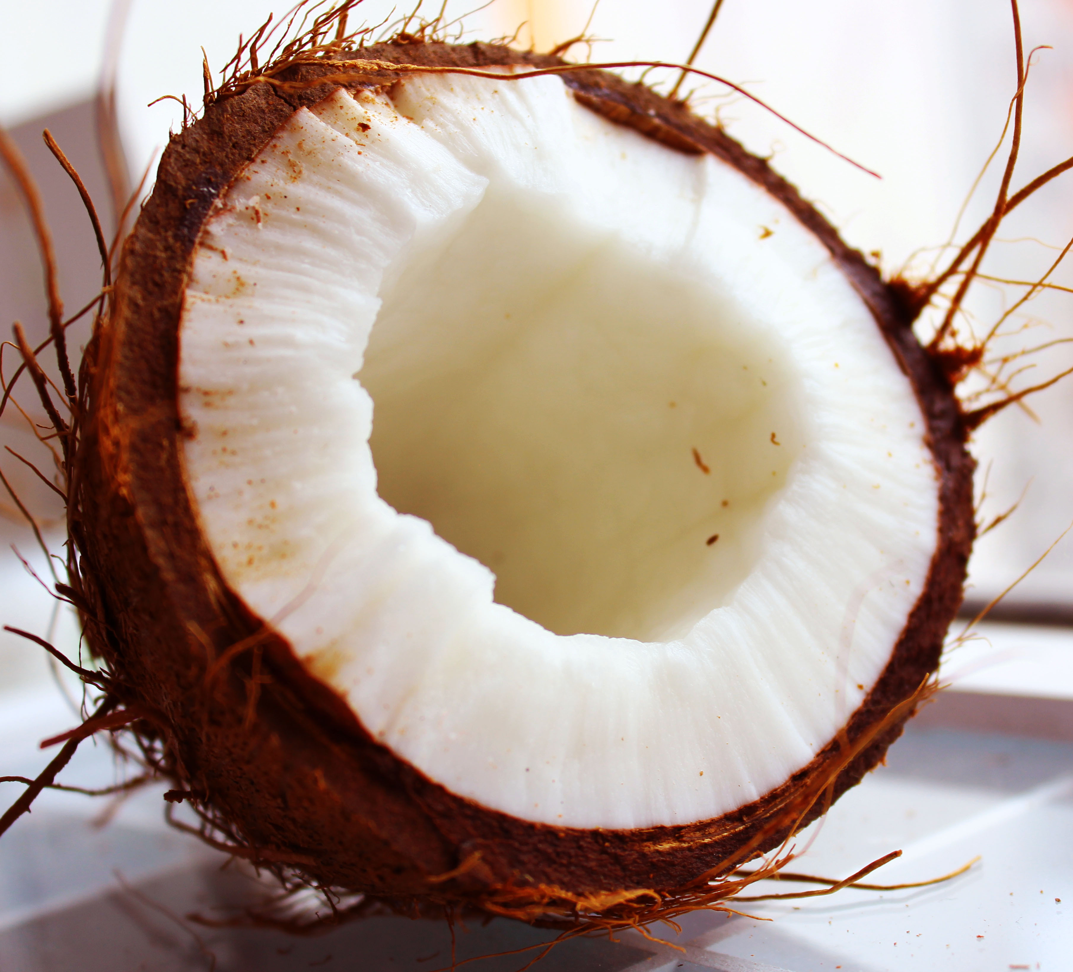 coconut photo