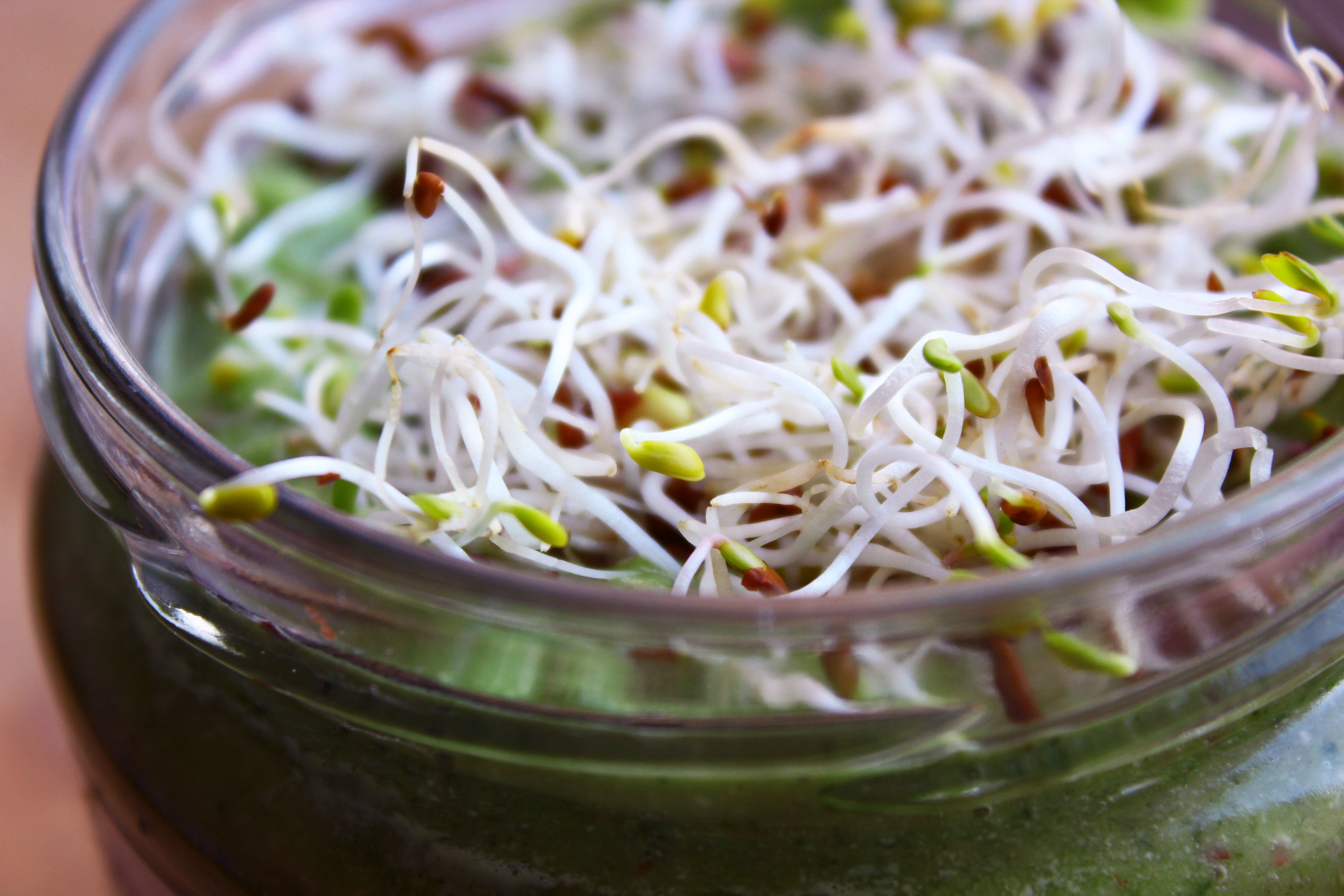 Avocado Spinach Spread 2
