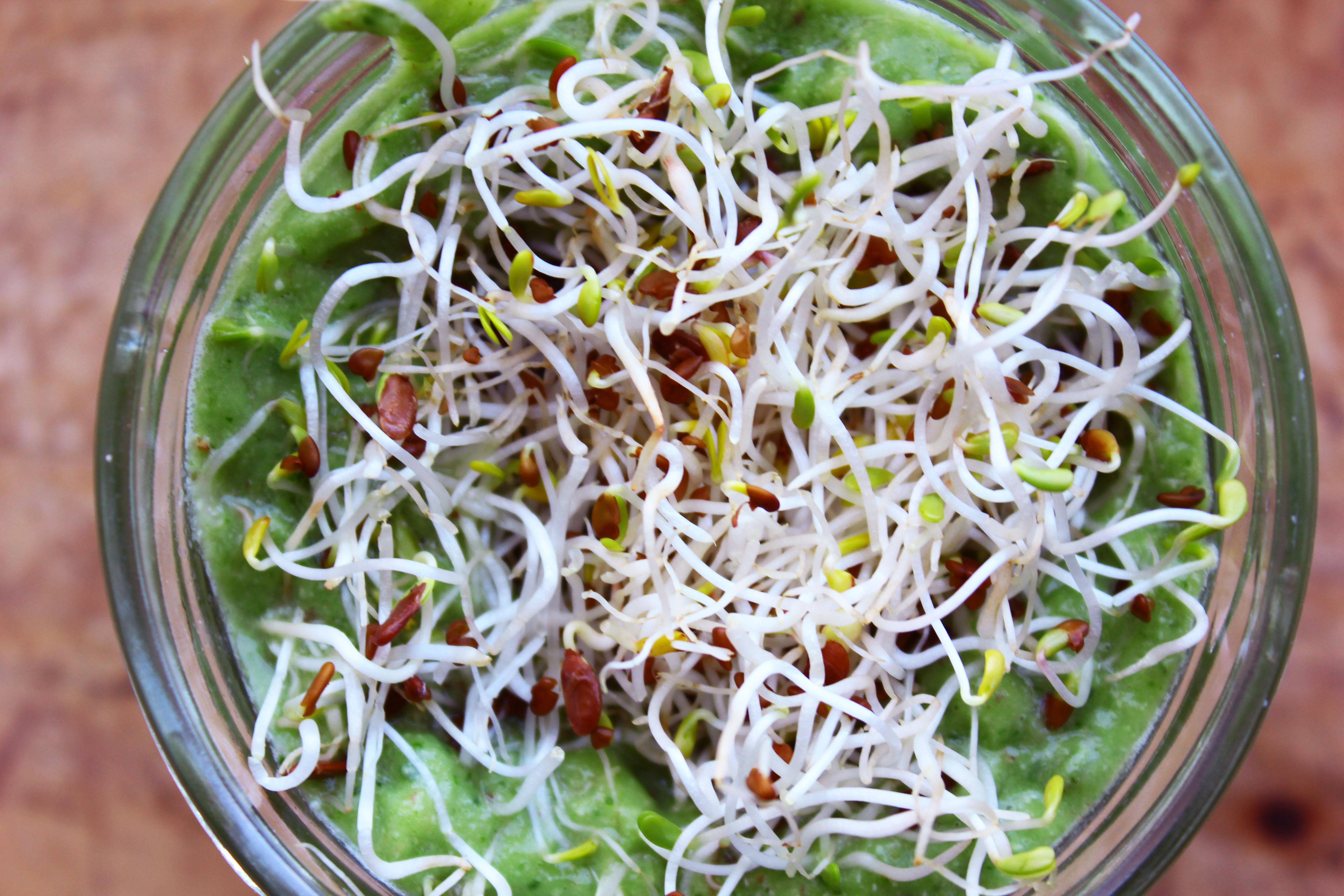 Avocado Spinach Spread