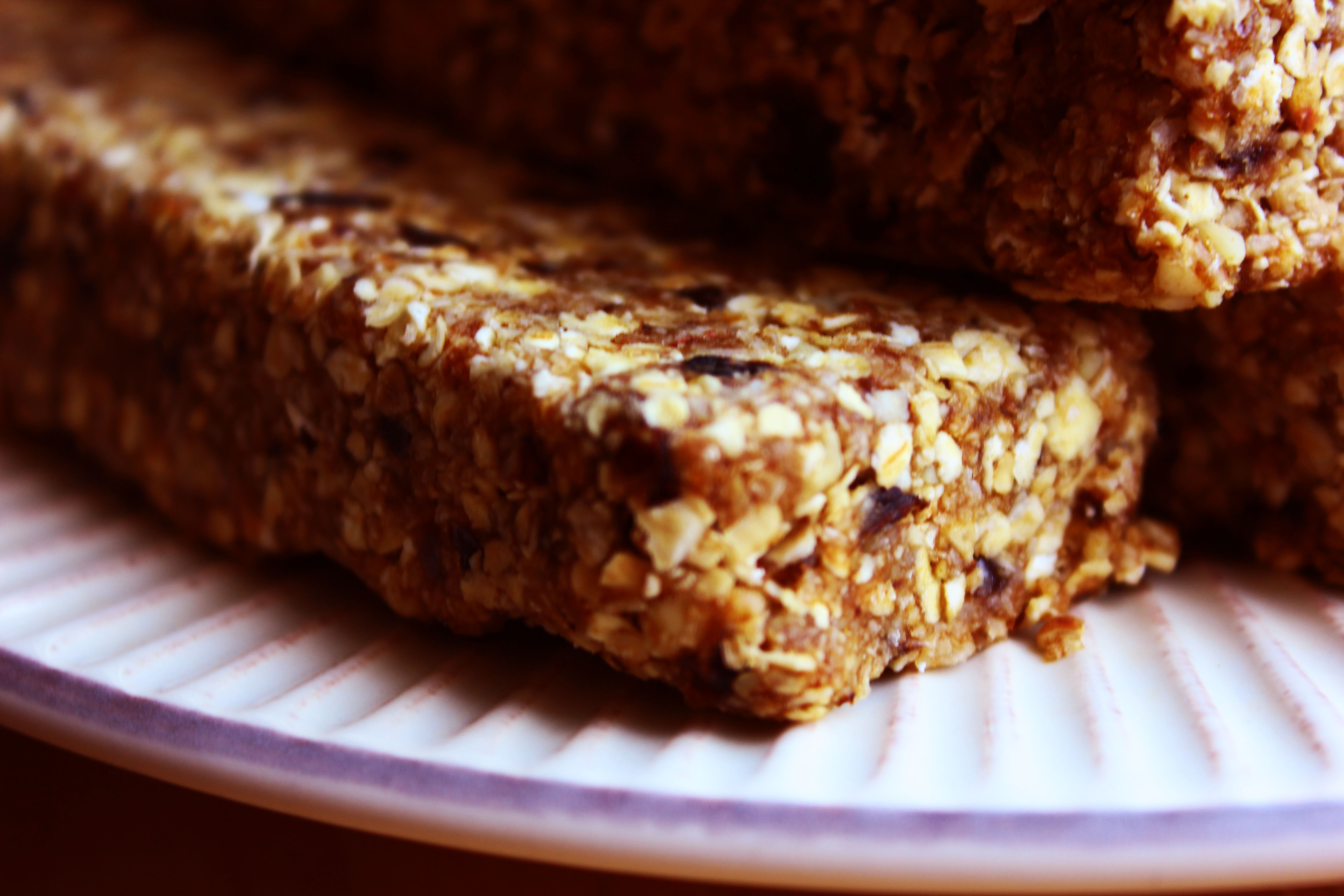 Simple Oat Bars